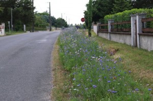 La jachère en entrée de village